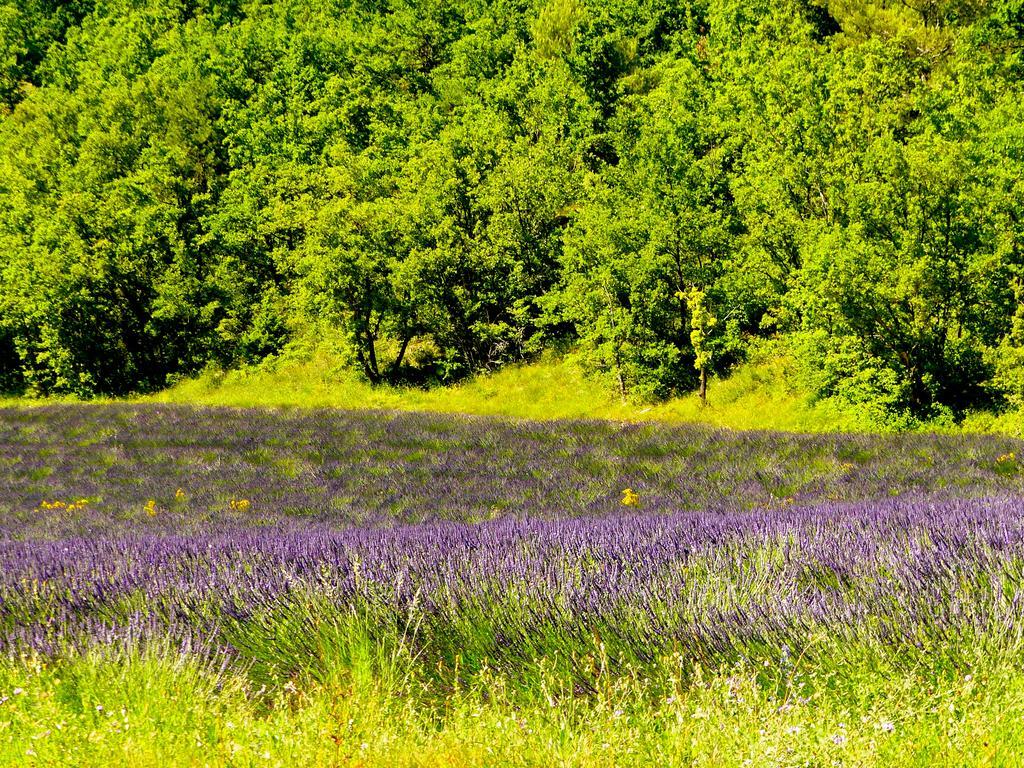 Отель La Fontaine De Rocoule Rochefort-en-Valdaine Экстерьер фото
